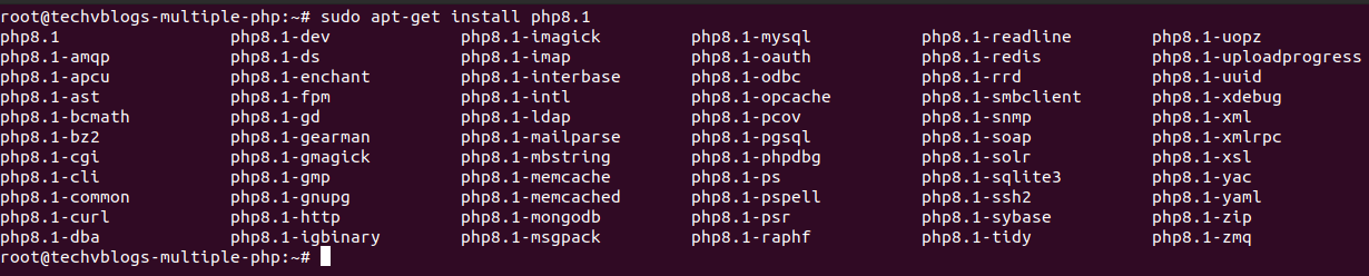 How To Install Multiple Php Versions On Ubuntu 22.04 - Techvblogs